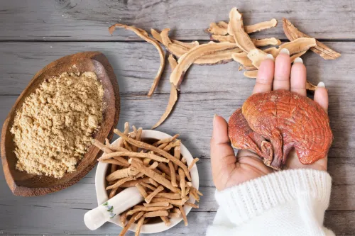 Reishi mushroom supplement used for natural stress relief and immune support